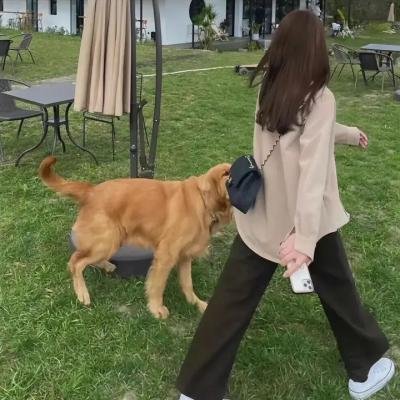 鬼精灵3